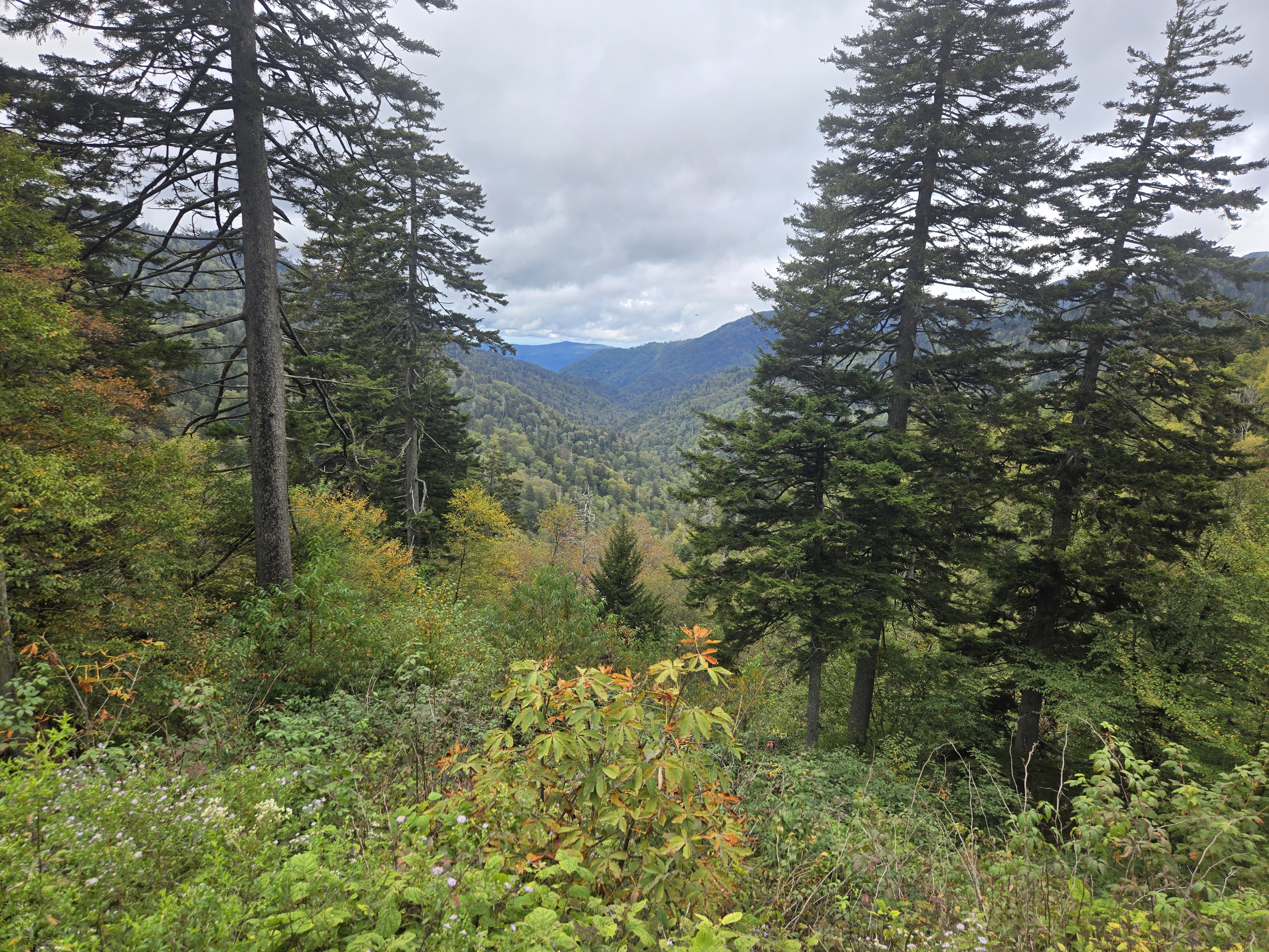 Great Smoky Mountains
